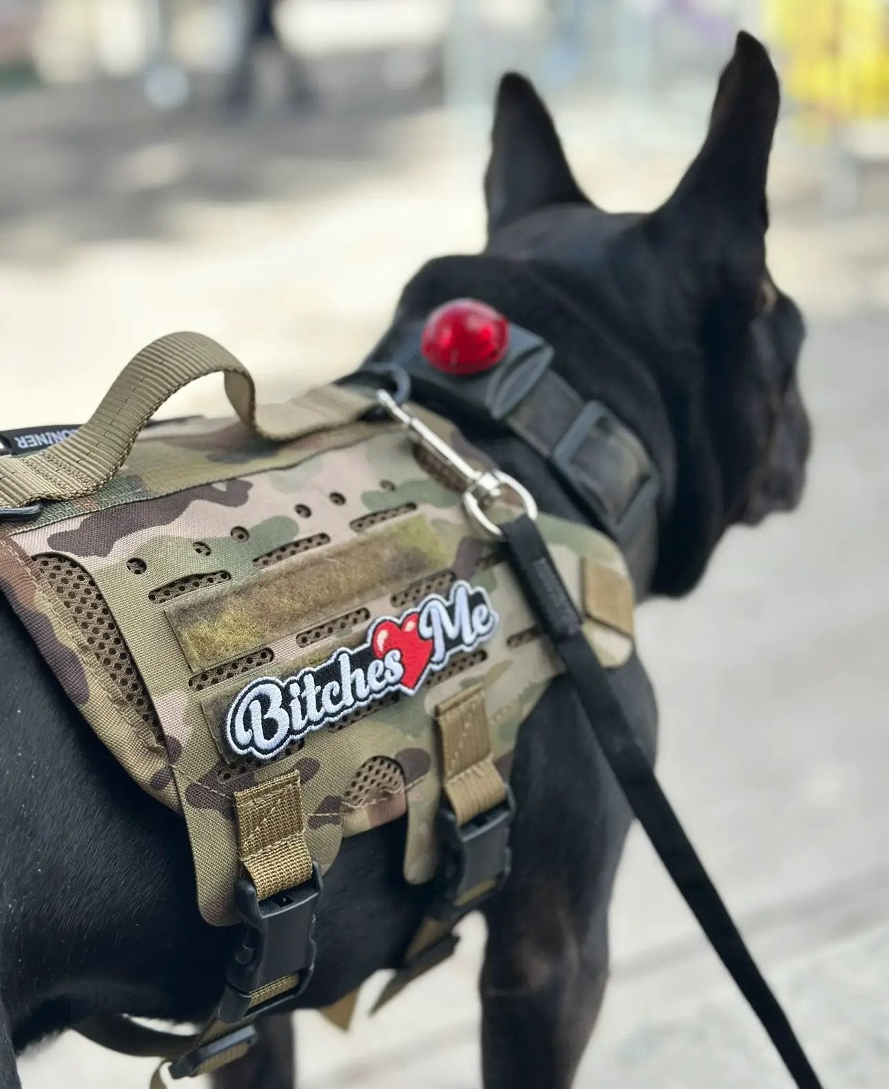 Men's Bitches Love Me Morale Patch With Hook Fastener Backing Tactical Velcro Vest And Harness Option by kiloninerpets