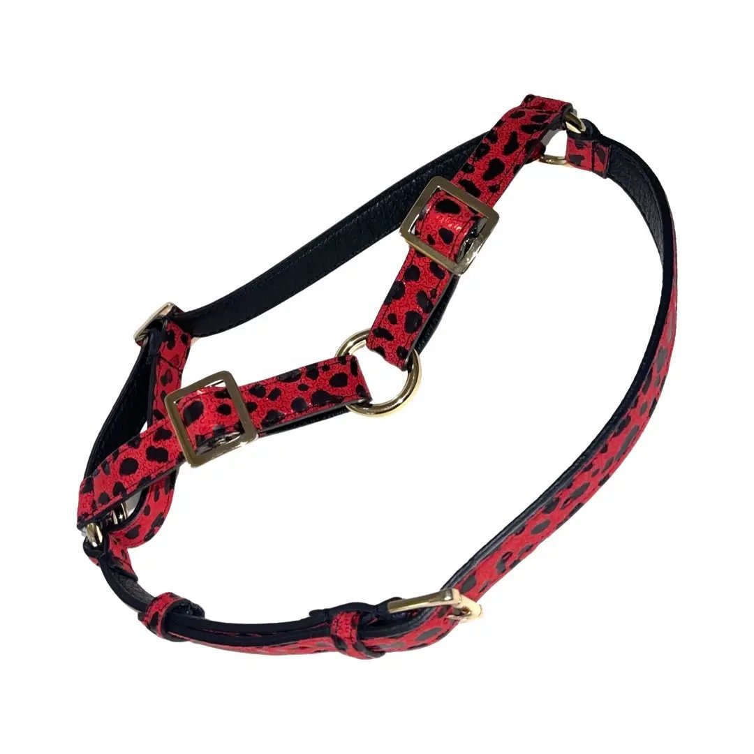 Harness in red and black leopard print Italian leather with gold hardware by Allysa Payne Beverly Hills