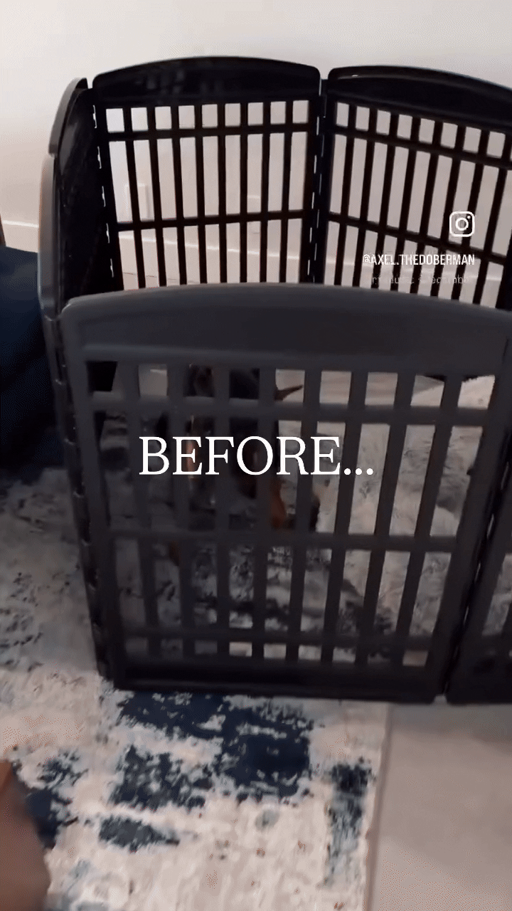 Hiddin Clear Acrylic Pet Playpen with Door – 32 in High