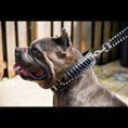 Charger l'image dans la visionneuse de la galerie, The ''Steampunk'' collar exclusive design - Pet Collars & Harnesses from Bestia Dog Gear
