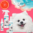 Load image into Gallery viewer, Blissfully Fresh™ Deodorizing Spray
