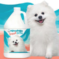 Load image into Gallery viewer, Blissfully Fresh™ Deodorizing Spray
