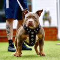 Bild in Galerie-Betrachter laden, 'Bijou'' harness Black & Pink for big dogs - Pet Collars & Harnesses from Bestia Dog Gear
