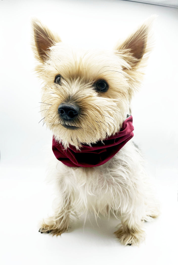 Bespoke Paws Bobby Reversible Flannel Dog Snood