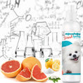 Load image into Gallery viewer, Blissfully Fresh™ Deodorizing Spray
