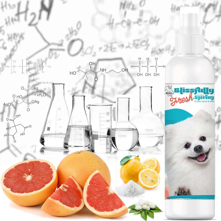 Blissfully Fresh Deodorizing Spray, view 5