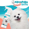 Load image into Gallery viewer, Blissfully Fresh™ Deodorizing Spray

