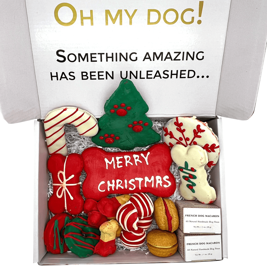 Christmas Dog Treats Gift Box, 18 Handmade Treats