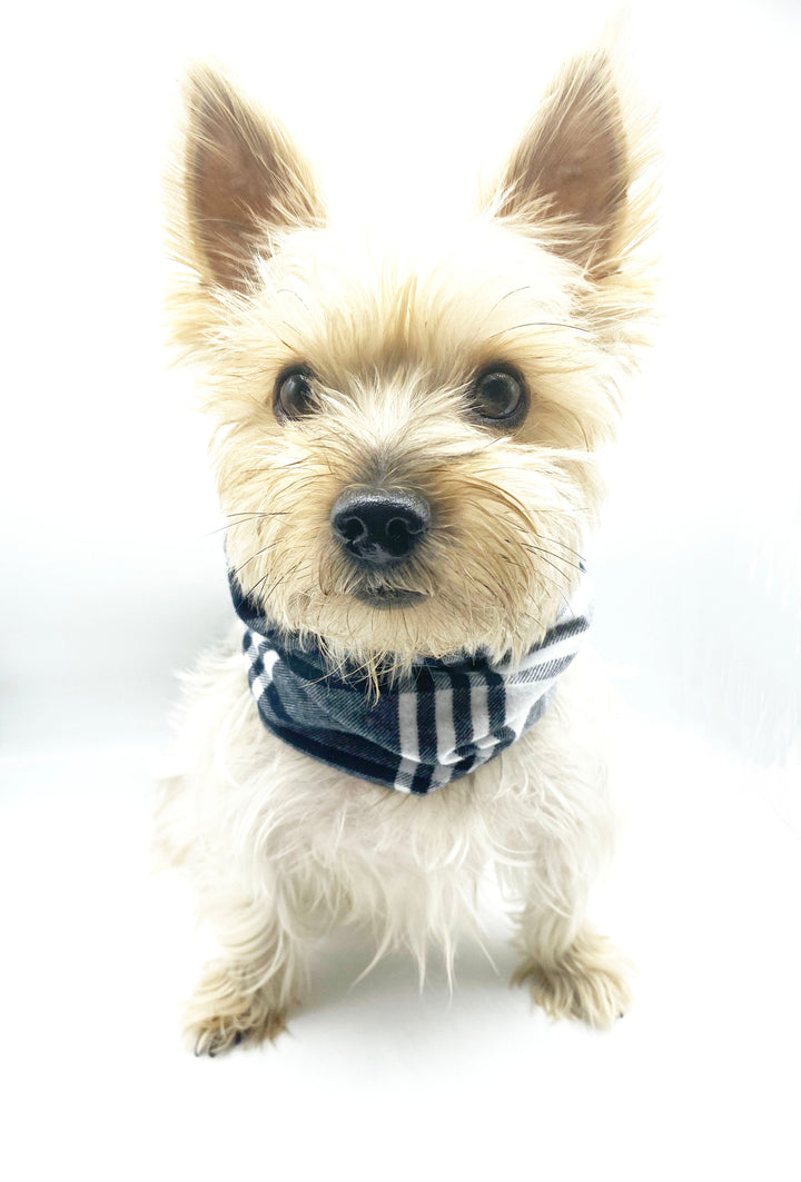 Bespoke Paws Bobby Reversible Flannel Dog Snood