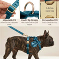 Load image into Gallery viewer, Luxe Blue Green Satin Dog Harness And Leash Set No Pull Custom Matching Pet Walking Gear Style by DDPaws
