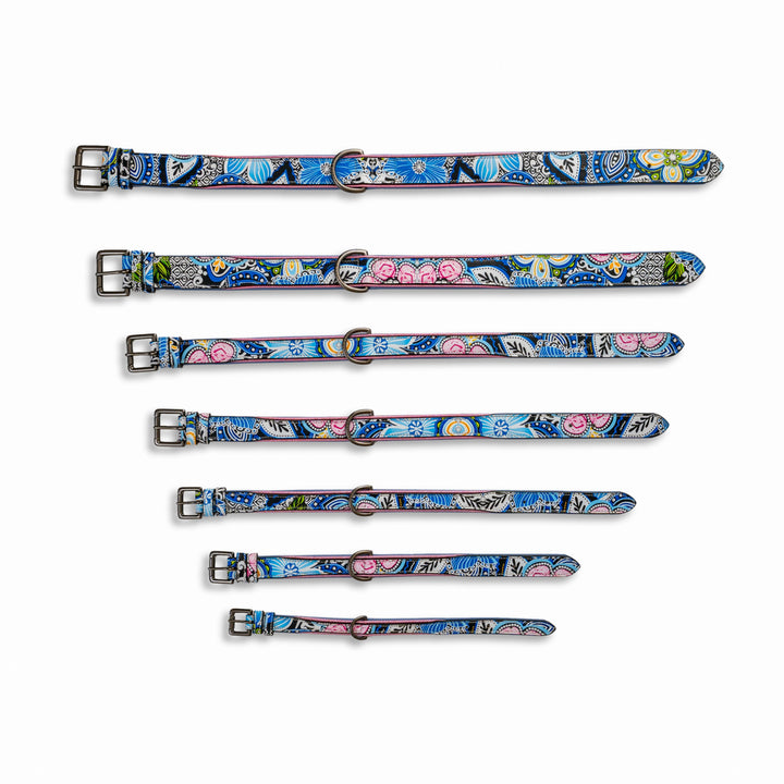 Halter Ego Blossom Leather Dog Collar shown in every size, XS to 3XL