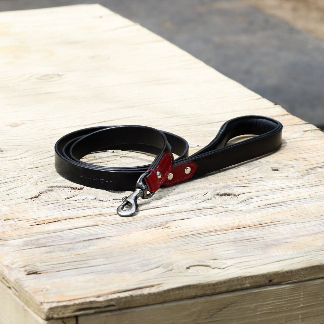 Halter Ego Breanna Red Croc Leather Dog Leash