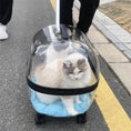 Carica l'immagine nel visualizzatore della galleria, Transparent capsule pet travel trolley carrier with wheels; cat inside, by VIP Digital Presence.
