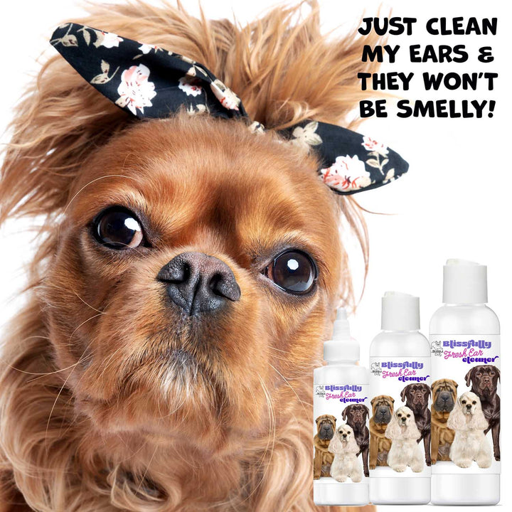 Blissfully Fresh Dog Ear Cleaner, view 4