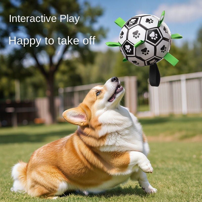 Paw Print Soccer Ball Dog Toy with Grab Tabs
