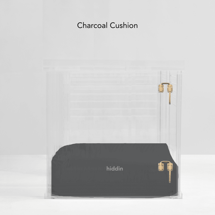 Hiddin Clear Acrylic Dog Crate – Large, Gold Latch