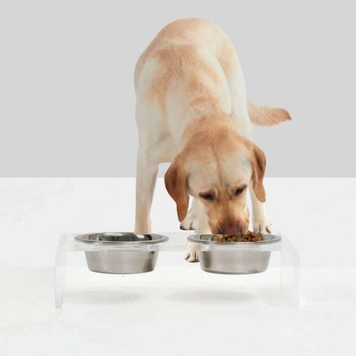 Hiddin Clear Acrylic Double Feeder with Silver Bowls – 3 in High