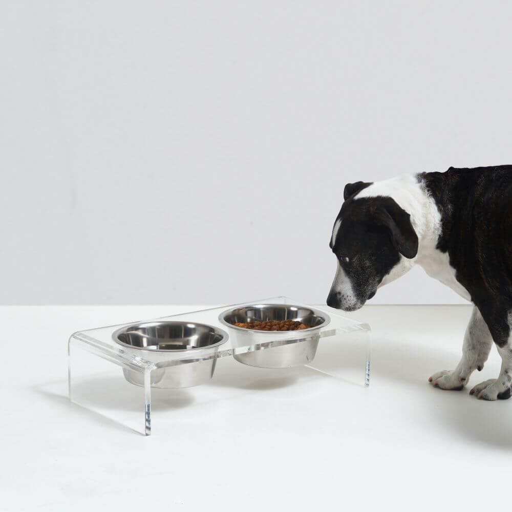 Hiddin Clear Acrylic Double Feeder with Silver Bowls – 3 in High