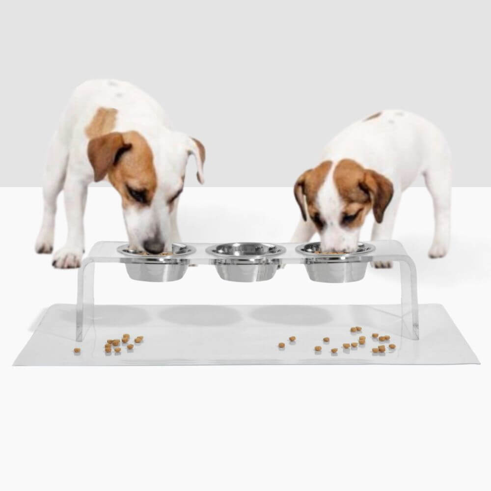 Hiddin Clear Acrylic Triple Feeder with Silver Bowls – 7 in High