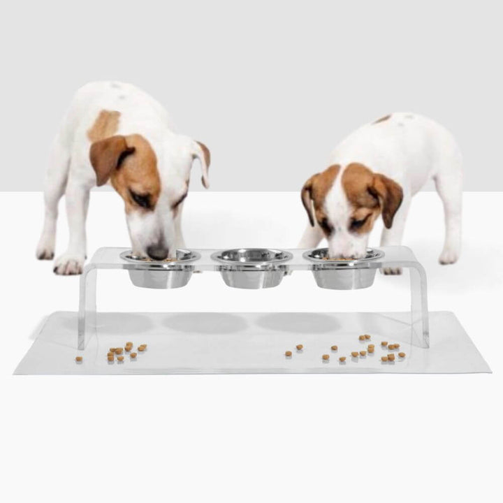 Hiddin Clear Acrylic Triple Feeder with Silver Bowls – 7 in High