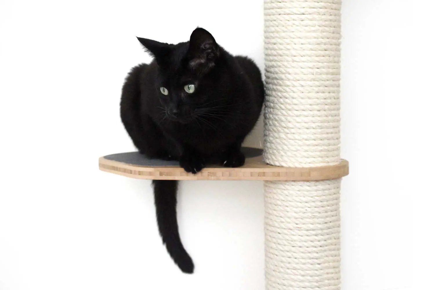 The Crow's Nest wall cat scratcher on a circular wooden platform with a sisal-wrapped post, black cat perched.