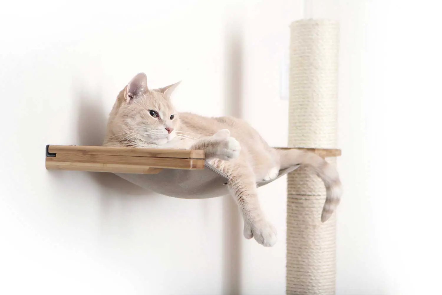 The Crow's Nest wall cat scratcher with hammock; beige cat lounging on a wooden platform