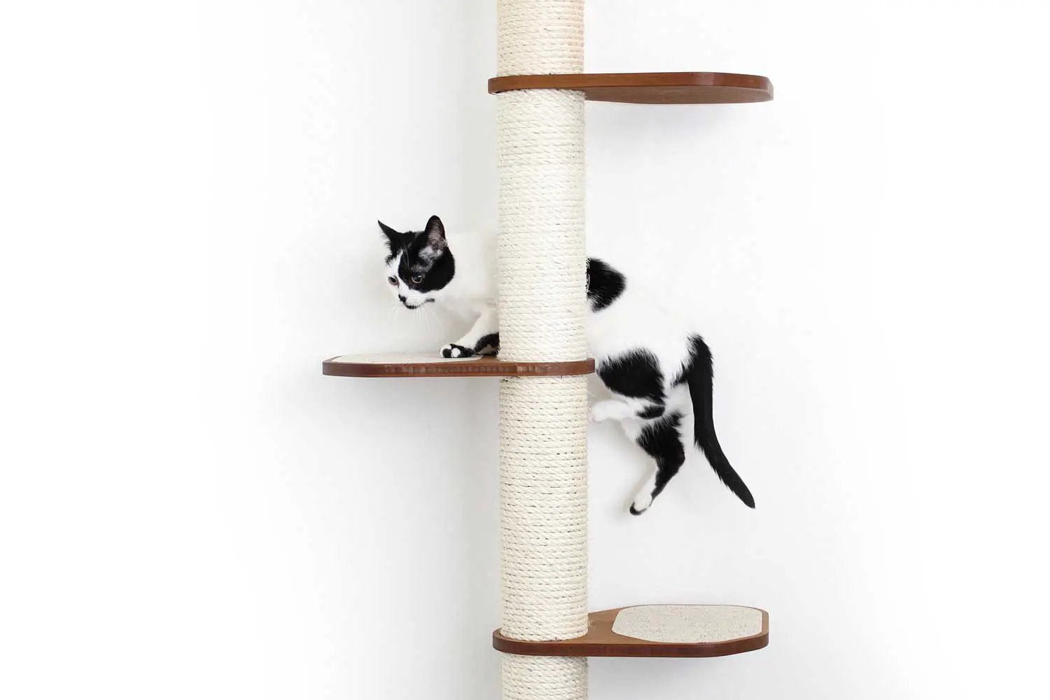 The Crow's Nest wall cat scratcher condo with hammock, Catastrophic Creations; sisal post, wood platforms.