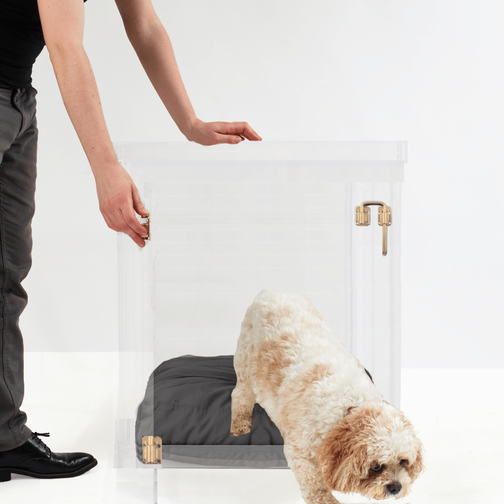 Hiddin Clear Acrylic Dog Crate – Medium, Gold Latch