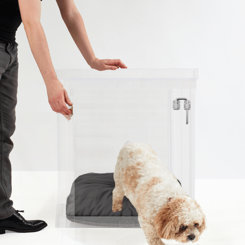 Hiddin Clear Acrylic Dog Crate – Medium, Silver Latch