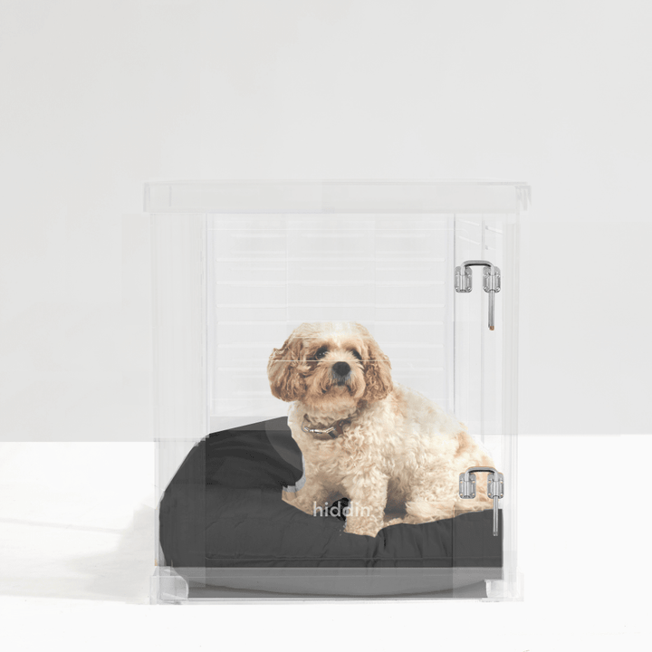 Hiddin Clear Acrylic Dog Crate – Medium, Silver Latch