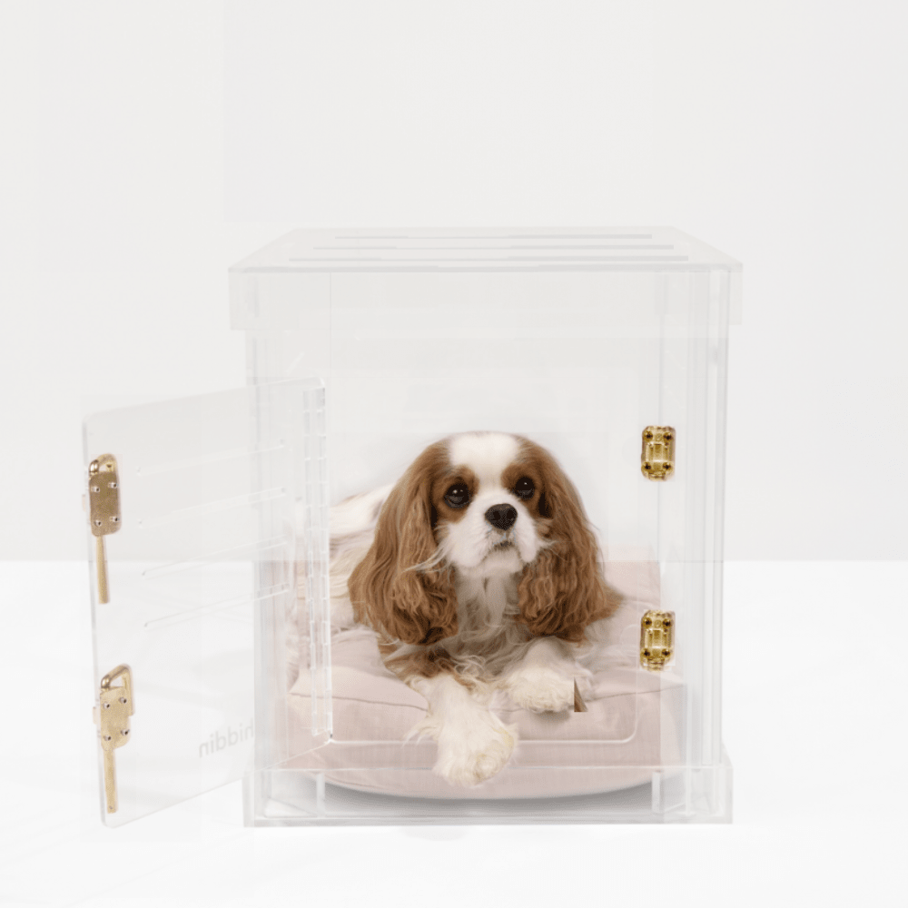 Hiddin Clear Acrylic Dog Crate – Small, Gold Latch