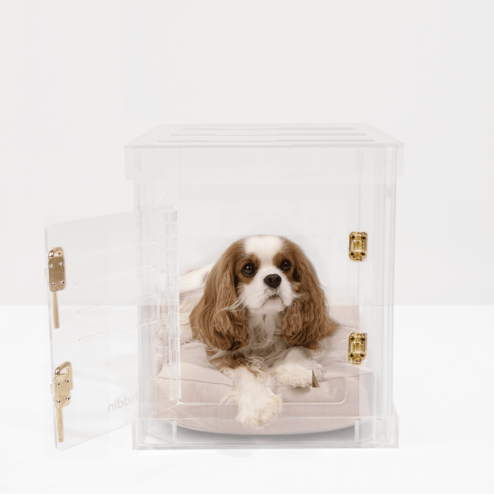 Hiddin Clear Acrylic Dog Crate – Small, Gold Latch
