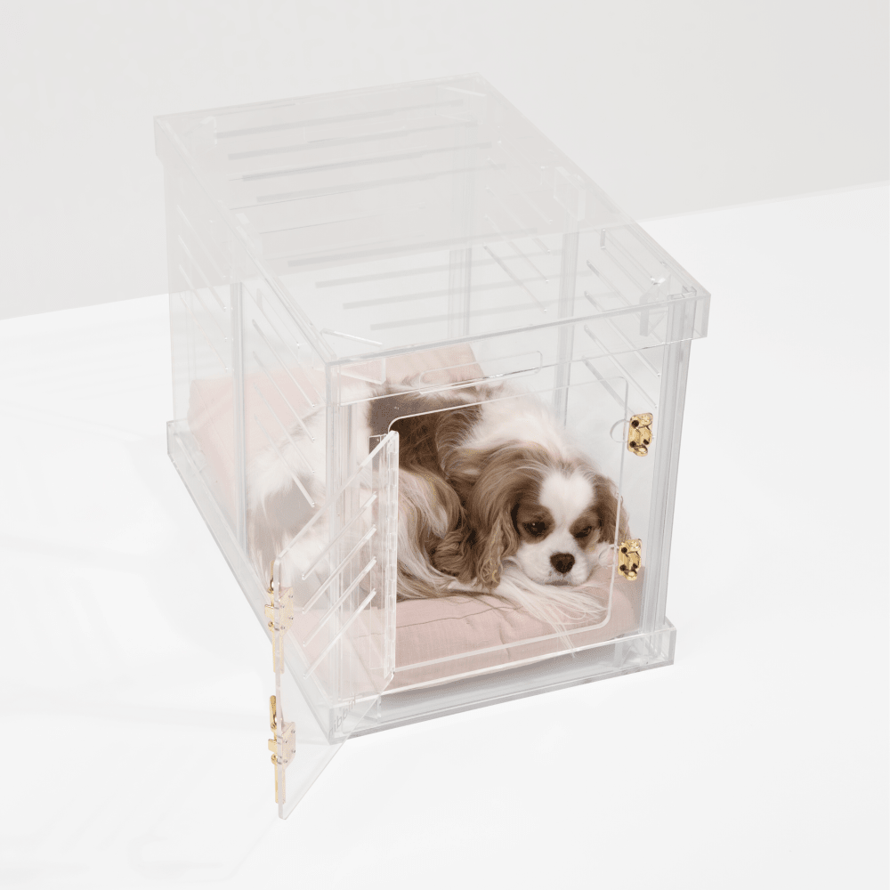 Hiddin Clear Acrylic Dog Crate – Small, Gold Latch