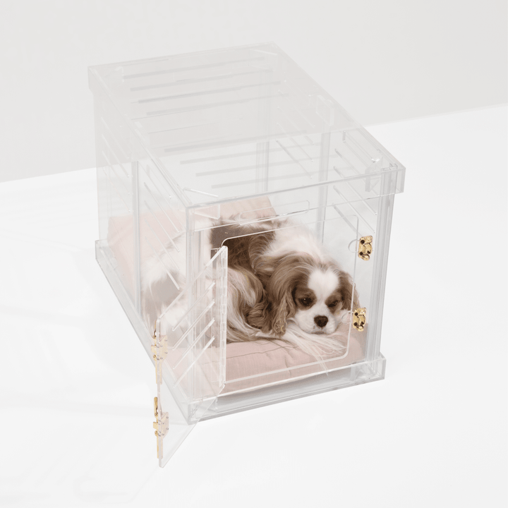 Hiddin Clear Acrylic Dog Crate – Small, Gold Latch