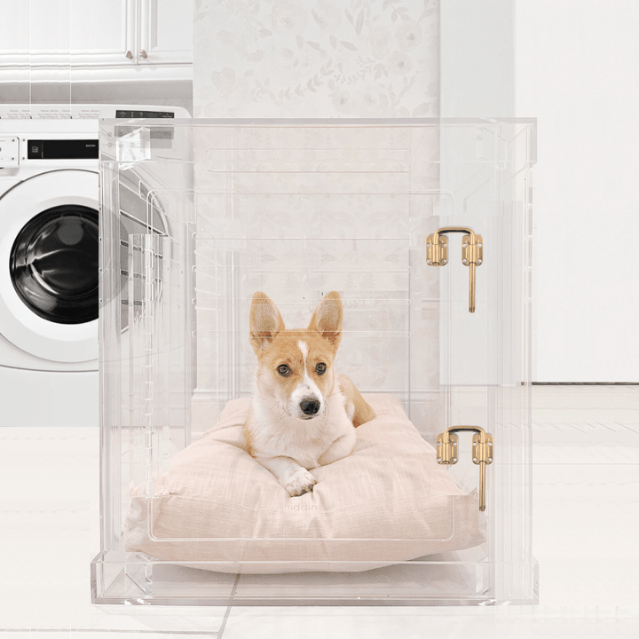 Hiddin Clear Acrylic Dog Crate – Small, Gold Latch
