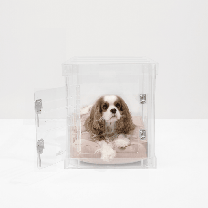 Hiddin Clear Acrylic Dog Crate – Small, Silver Latch