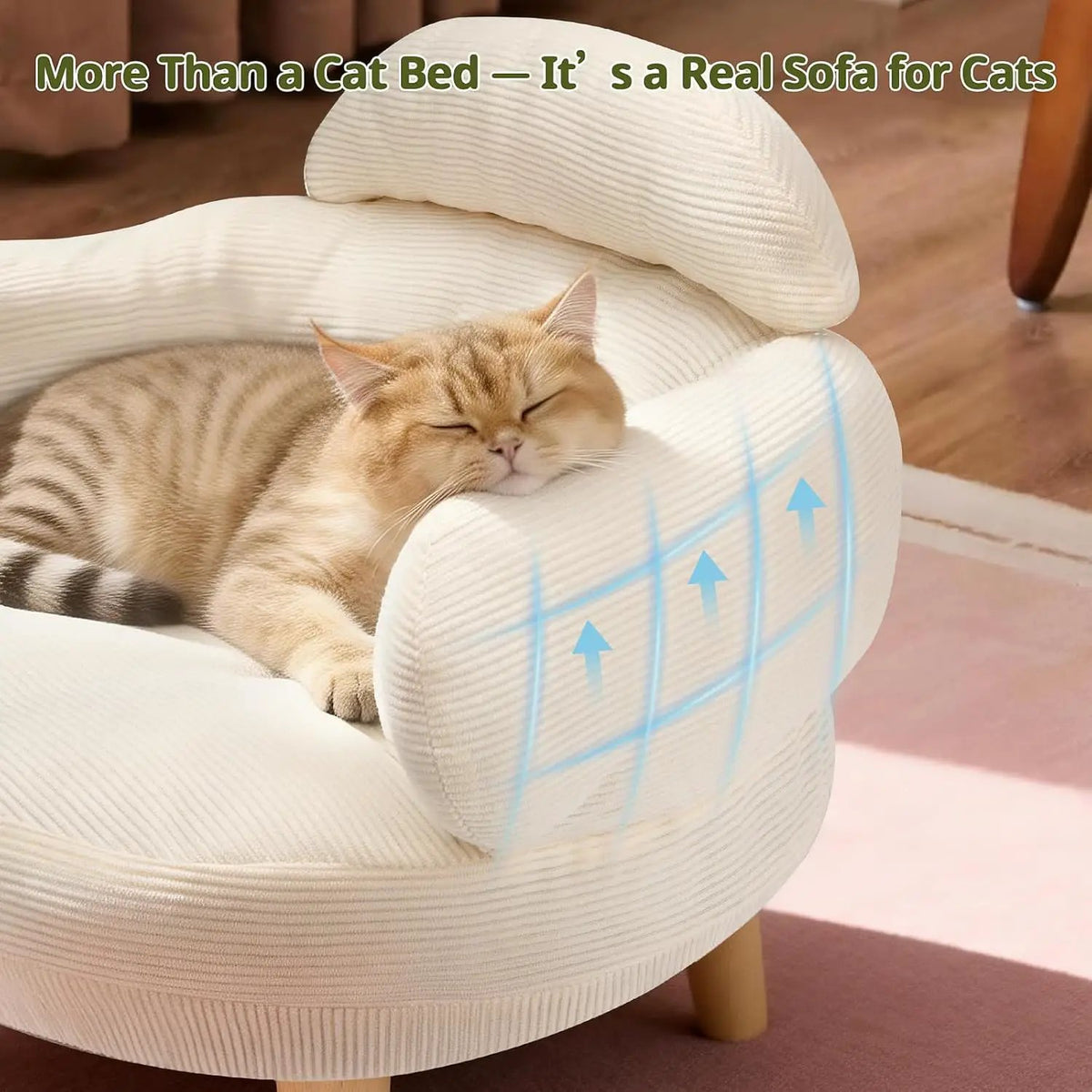 Cat Sofa Bed Furniture Style Velvet Pet Couch with Wood Legs Small Dogs by Wags & Whiskers Pet Supply