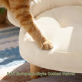 Cargar la imagen en la vista de la galería, Cat Sofa Bed Furniture Style Velvet Pet Couch with Wood Legs Small Dogs by Wags & Whiskers Pet Supply
