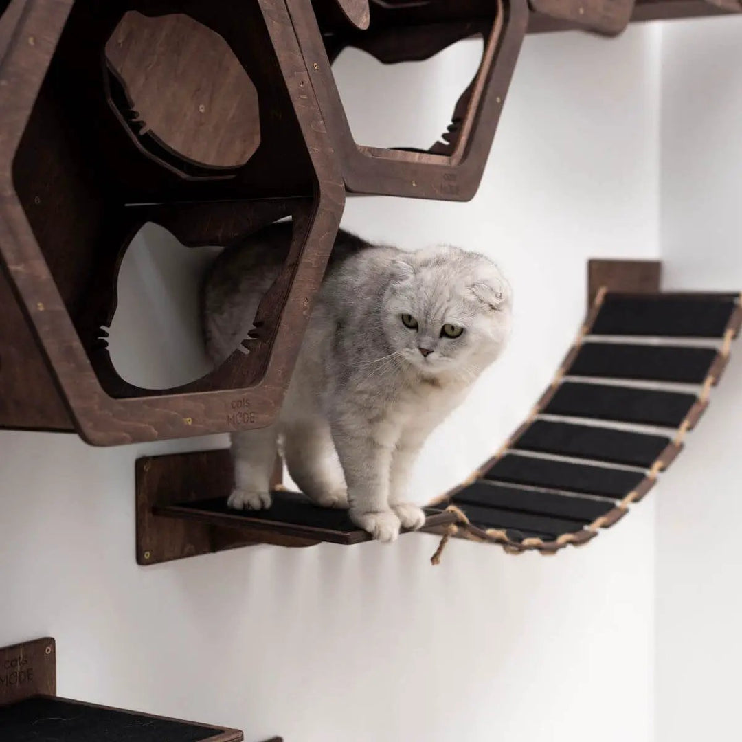 Cat Wood Bridge Wall Mounted Cat Shelf 48 Inch Dark Walnut by Enjoy The Wood