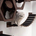 Bild in Galerie-Betrachter laden, Cat Wood Bridge Wall Mounted Cat Shelf 48 Inch Dark Walnut by Enjoy The Wood
