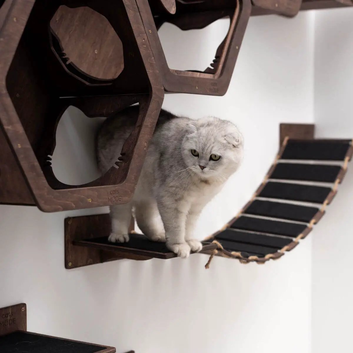 Cat Wood Bridge Wall Mounted Cat Shelf 48 Inch Dark Walnut by Enjoy The Wood