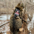 Carica l'immagine nel visualizzatore della galleria, K9R M1 Lightspeed Cat Harness With Minimalist Chest Plate Made USA by kiloninerpets
