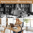 Charger l'image dans la visionneuse de la galerie, Cat Desk Bed with Removable Cushion for Indoor Cats by DirectDeals, Cat Perches & Shelves
