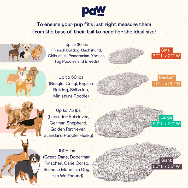 PupRug by Paw.com faux fur orthopedic dog bed, curve white with brown accents; size chart shows small to giant.