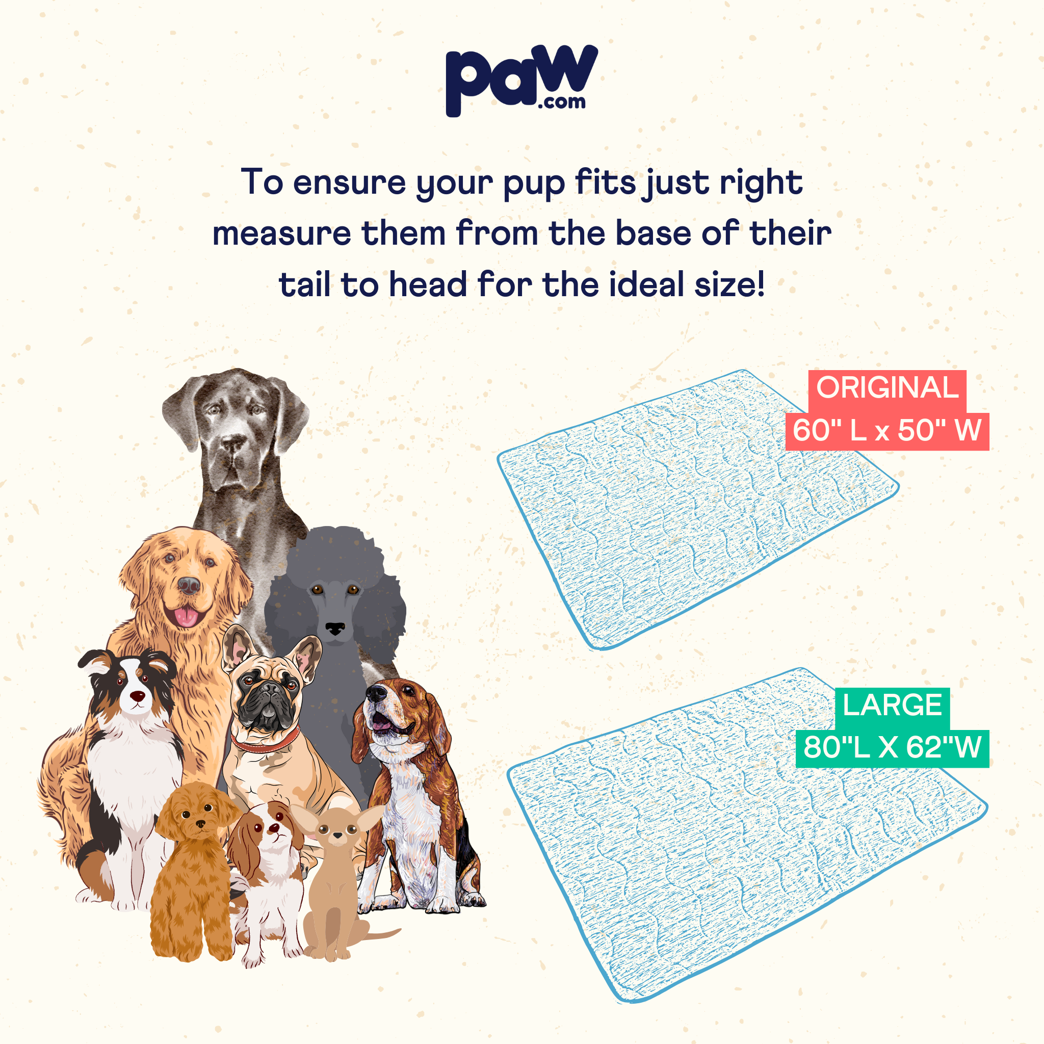 PupChill Cooling Waterproof Blanket Arctic Grey by Paw.com; image shows several dogs and a blue outlined blanket