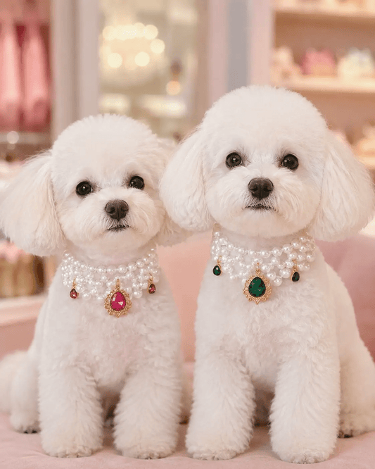 LuxPet Elegant Pearl Gem Pet Necklace With Pendant For Medium Dogs by Jane's Pet Boutique