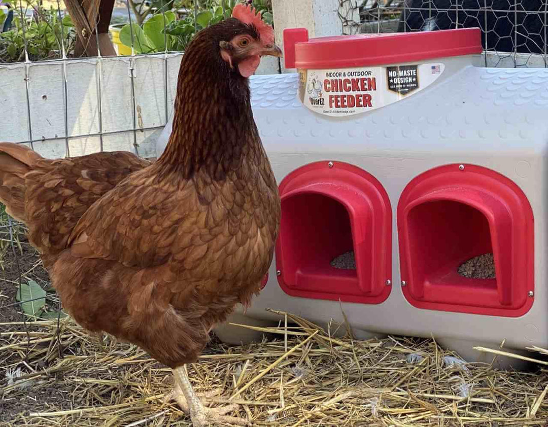 OverEZ Classic Chicken Feeder