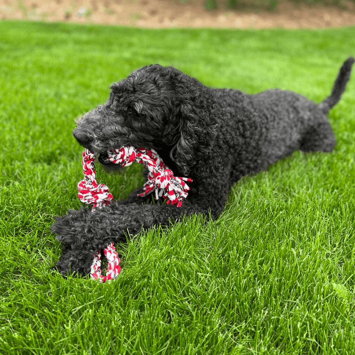 ReRope Barreled Upcycled Rope Dog Toy