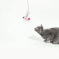 Load image into Gallery viewer, Cat toy: A Little Lotl axolotl wool plush by Cat in the Box LLC.
