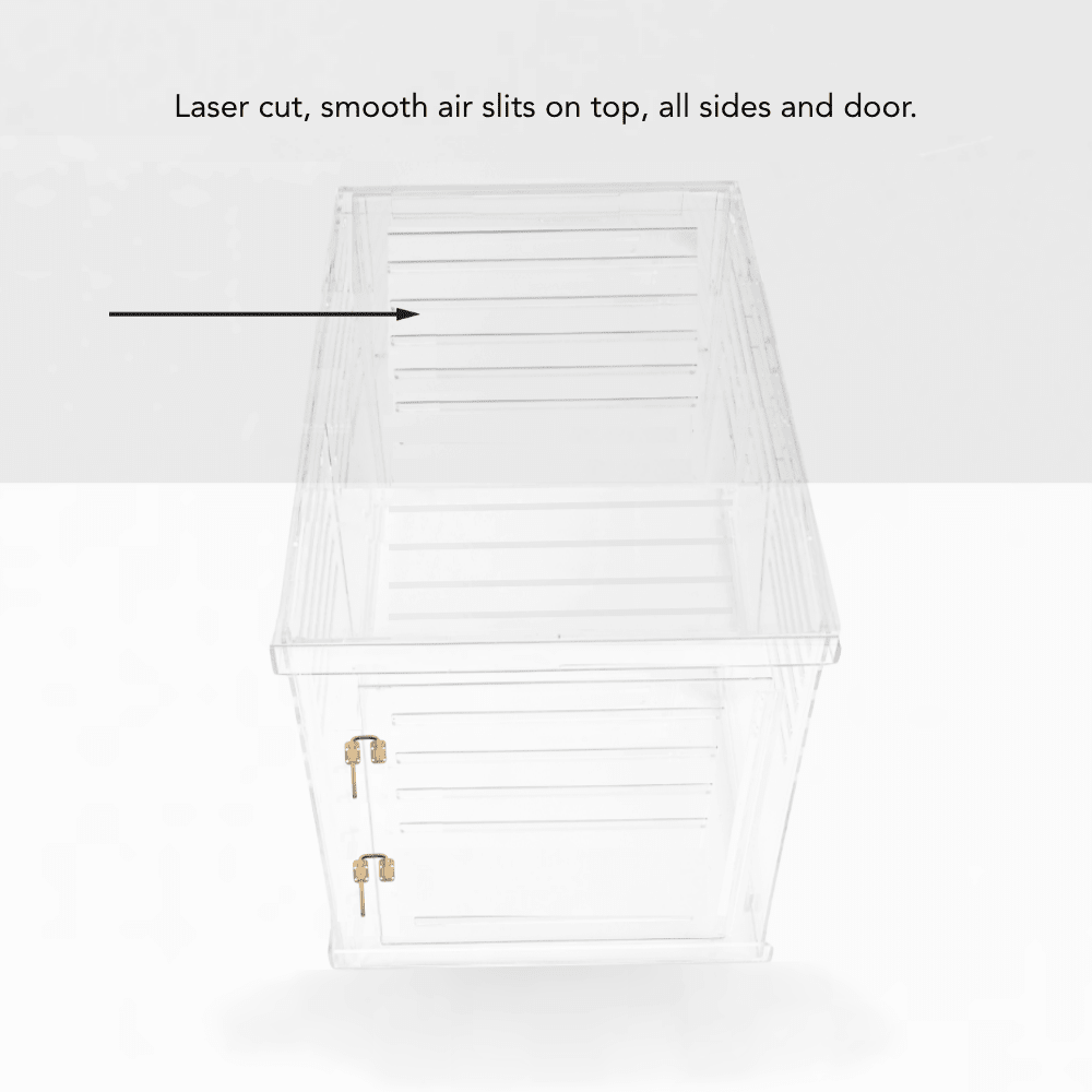 Hiddin Clear Acrylic Dog Crate – Small, Gold Latch
